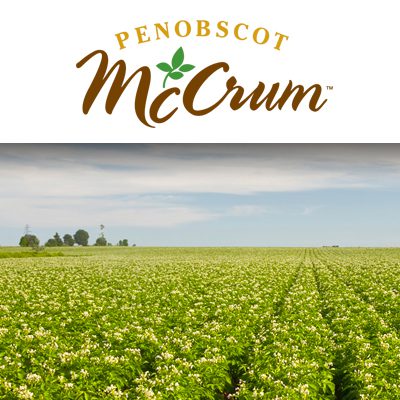 Penobscot McCrum